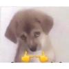 Uwu 26
