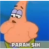Petrik 30