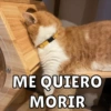 ME QUIERO MORIR