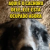 Humor 23