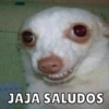 JAJA SALUDOS