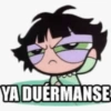 ✨😼STICKERS PARA GRUPOS😾✨ 8