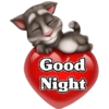 Good Night