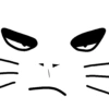 My cat 15