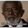 Gatinho 12