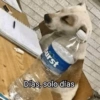 Cuadraditos pa usté 19