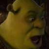 Shrek  22