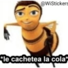 Memes de imajen randoms xd  15