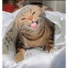 Laughing 15