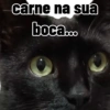 Política  6