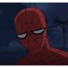 Homem aranha 6
