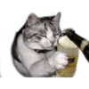 ☆funny pets 5