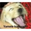 Ramdos3 14