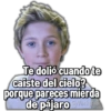 Te dolió cuando te
caiste del cielo?
porque pareces mierda
de pájaro @Vickyfas