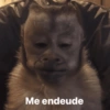 Memes en tendencia 01 ✨🔥 8