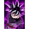 Black Goku 13