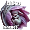 Magic bunny sleeping 🐰💤✨️ 13