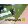Memes divertidos 12