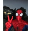Homem aranha 20