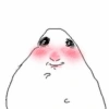 🐹 Hamster Tiktok 2📱 13