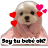 Super tiernos ❤️ 7