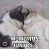 Michitos de amorcito😍 5
