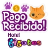 Bigotes frases 17