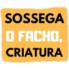 Sapecagens 15