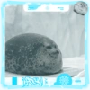 Foca adorável 🦭 23