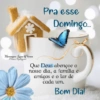 Bom dia 15
