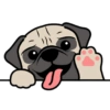 🐾Pug🐾 6