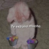 Te extraño mucho.