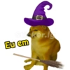 Halloween 24