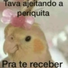 Sapecagem e Safadeza Gostosa 😈 6