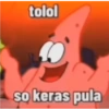 Petrik 18