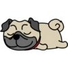 🐾Pug🐾 13