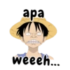 One piece indonesia 25