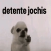 Tiktok Memes 12