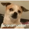Shitpost Random 😎😉2 7