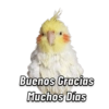 Memes pa’ Enviar 🔥🤡 13