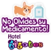 Bigotes frases 25