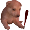 🐶Cheems Bebé🍼 9