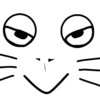 My cat 12