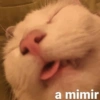 a mimir