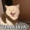 JAJAJAJA