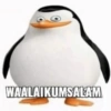 WAALAIKUMSALAM