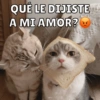 Michitos de amorcito😍 8