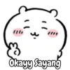 Okayy Sayang