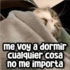 me voy a dormir cualquier cosa no me importa