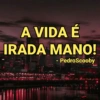 A VIDA É
IRADA MANO!
- PedroScooby